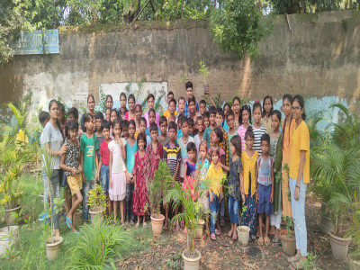 Save Environment Plant Trees